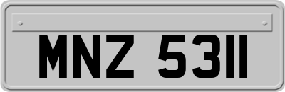 MNZ5311