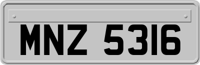 MNZ5316