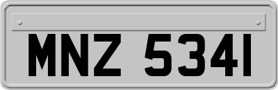 MNZ5341