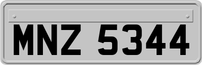 MNZ5344