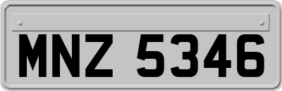MNZ5346
