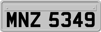 MNZ5349