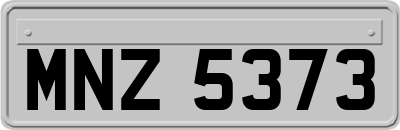 MNZ5373
