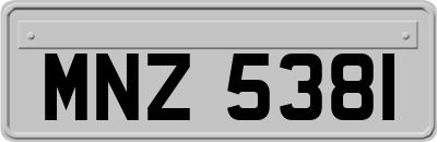 MNZ5381