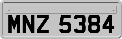 MNZ5384