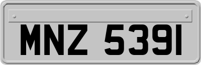 MNZ5391