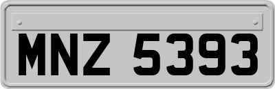 MNZ5393