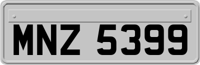 MNZ5399