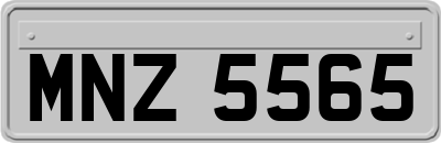 MNZ5565
