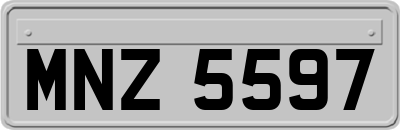 MNZ5597