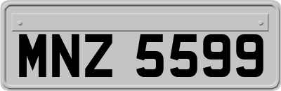 MNZ5599