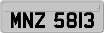 MNZ5813