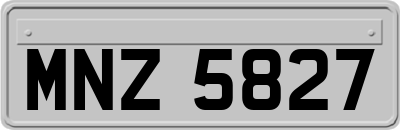 MNZ5827