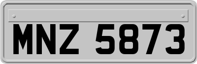 MNZ5873