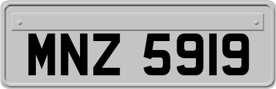 MNZ5919
