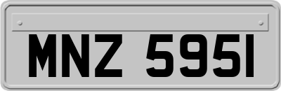 MNZ5951