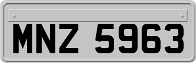 MNZ5963