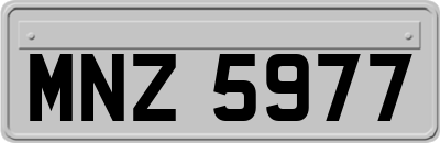 MNZ5977