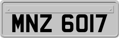 MNZ6017