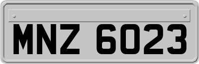 MNZ6023