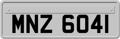 MNZ6041