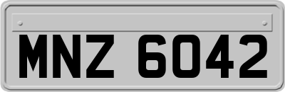 MNZ6042