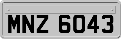 MNZ6043