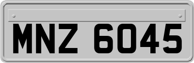 MNZ6045