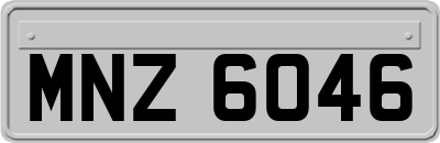 MNZ6046