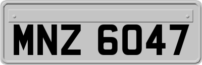 MNZ6047