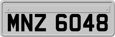 MNZ6048