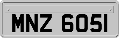 MNZ6051