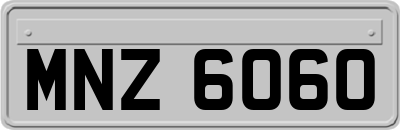 MNZ6060