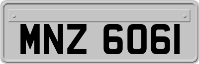 MNZ6061