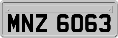 MNZ6063