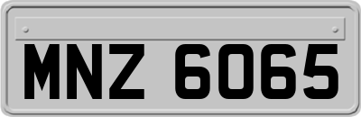 MNZ6065
