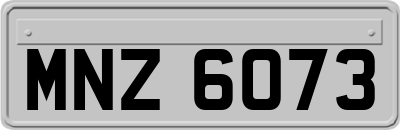 MNZ6073