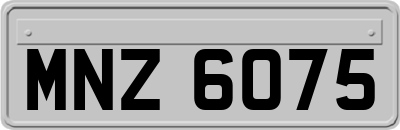 MNZ6075