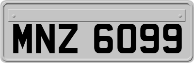 MNZ6099