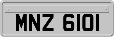 MNZ6101