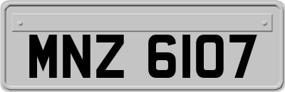 MNZ6107