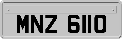 MNZ6110