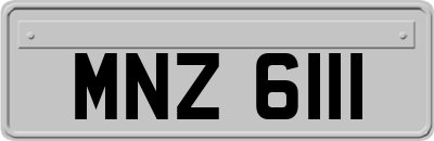 MNZ6111