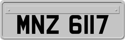 MNZ6117