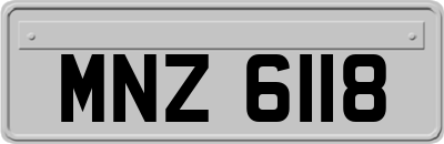 MNZ6118