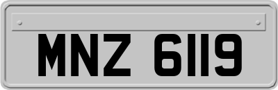 MNZ6119