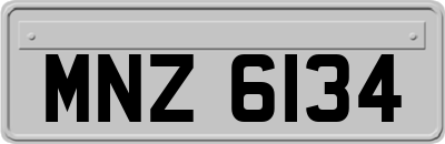 MNZ6134