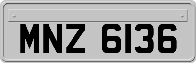 MNZ6136