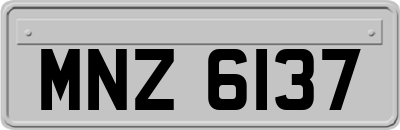 MNZ6137