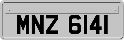 MNZ6141